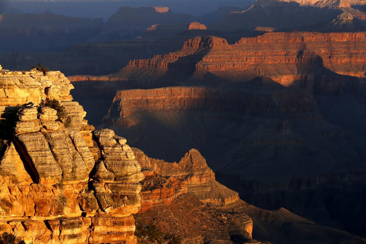 Sunrise paints the Grand Canyon with swaths of golden light.