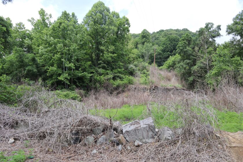 Ruins of an abandoned mine in Havaco, W.Va., nearby where more than 80 West Virginia coal miners who died in a mining disaster in 1912 are buried, is seen on June 7, 2022. (AP Photo/Leah Willingham)