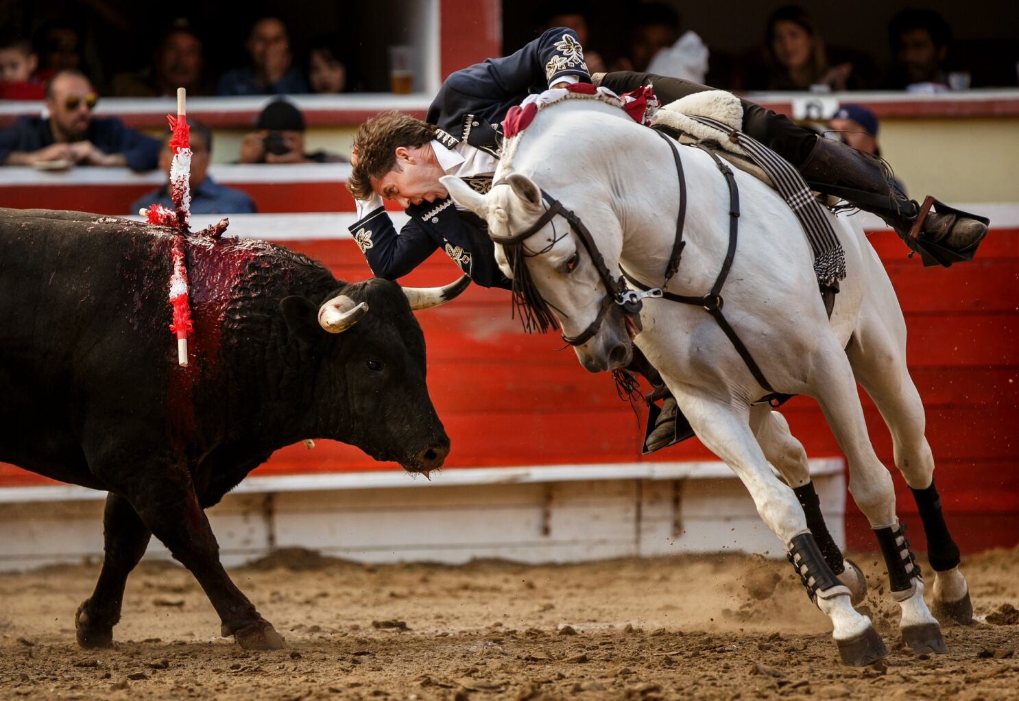 Bullfighting as an 'art form'? More like a barbaric act of animal cruelty -  Los Angeles Times