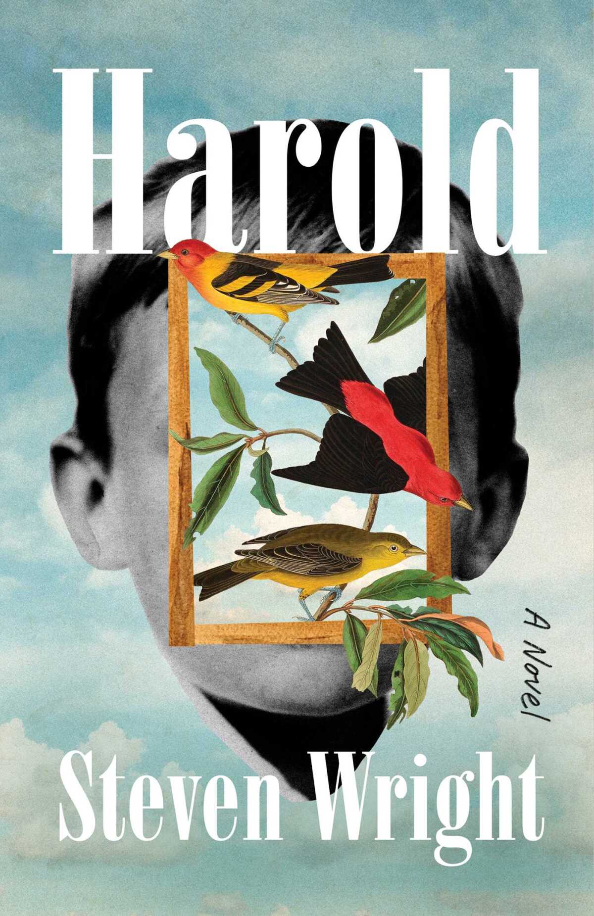 Steven Wright'ın 'Harold' kitabının kapağı