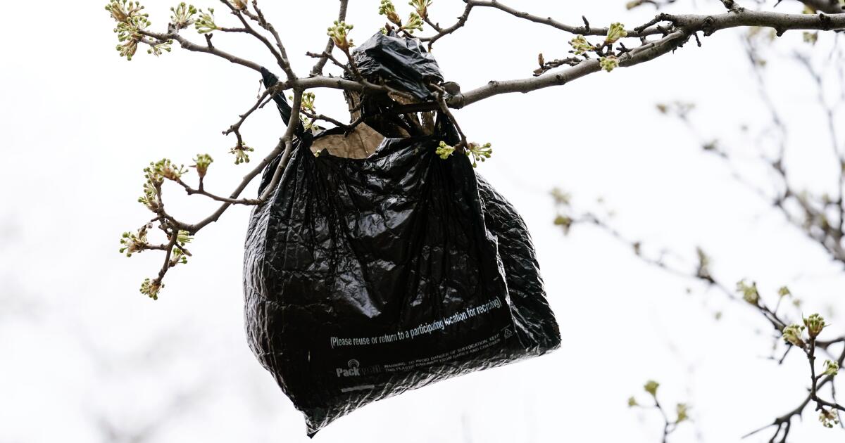 California plastic bag ban led to more plastic waste, consumer advocacy ... California plastic bag ban led to more plastic waste, consumer advocacy ...