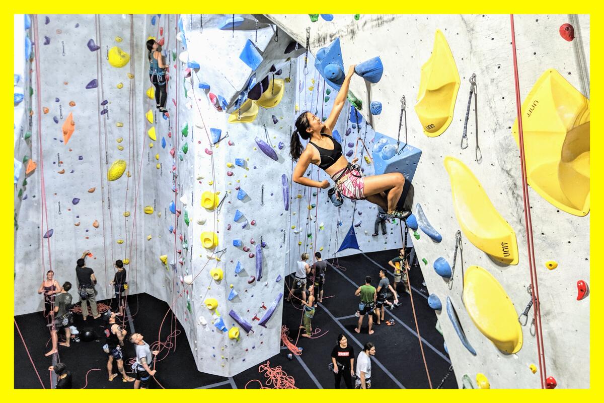 A woman hangs from the top of a indoor climbing wall. Ropes and climbers can be seen in the background on other walls.