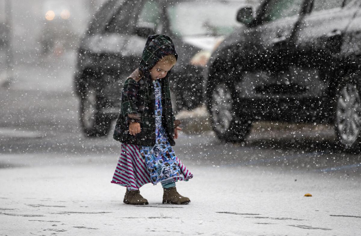 Joan Havens, 2, of Pehlan is mesmerized while walking in the first snowfall of the season on November 20, 2019 in Wrightwood.
