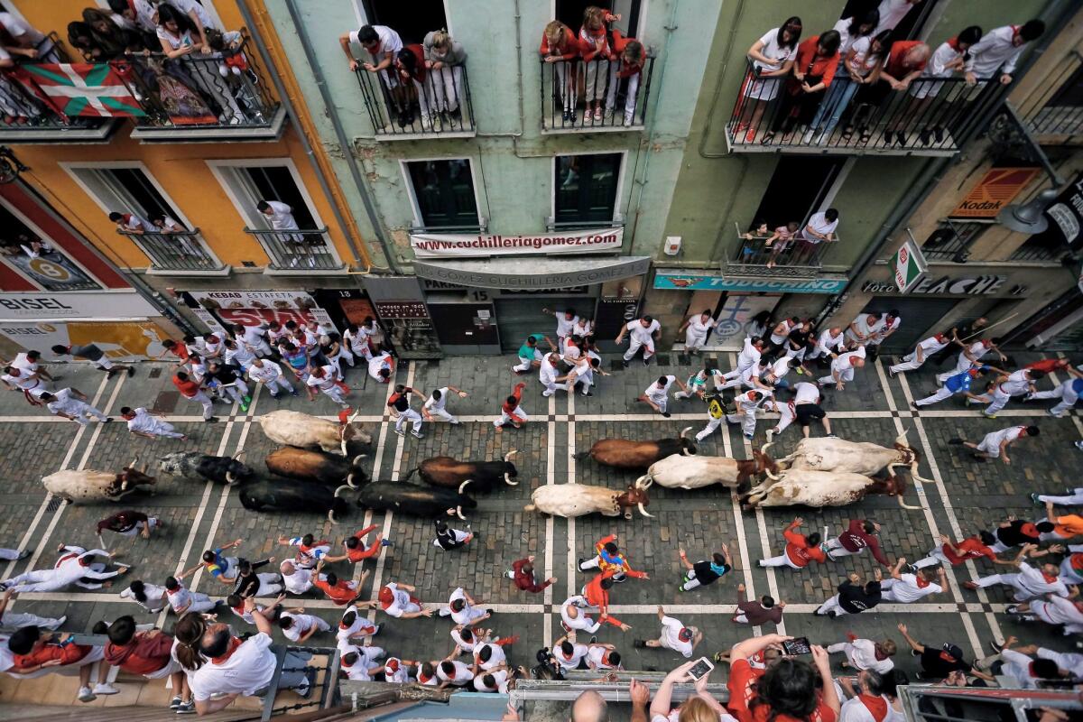 Runners, or "mozos," clad in white with red bandannas, run with the bulls in Pamplona.