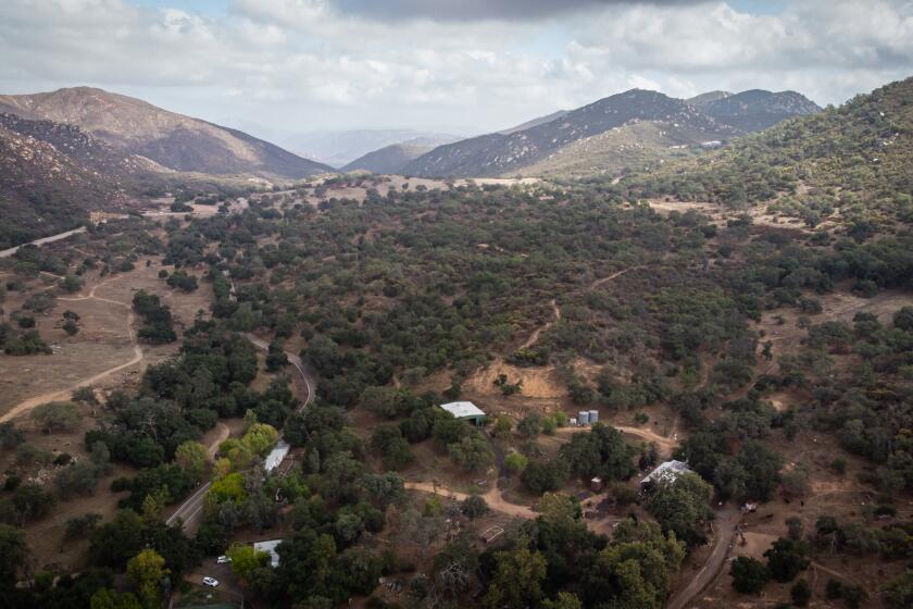 Jamul, CA - October 11: The 1,325 acre Breezeway Ranch on Monday, Oct. 11, 2021 in Jamul, CA. (Jarrod Valliere / The San Diego Union-Tribune)