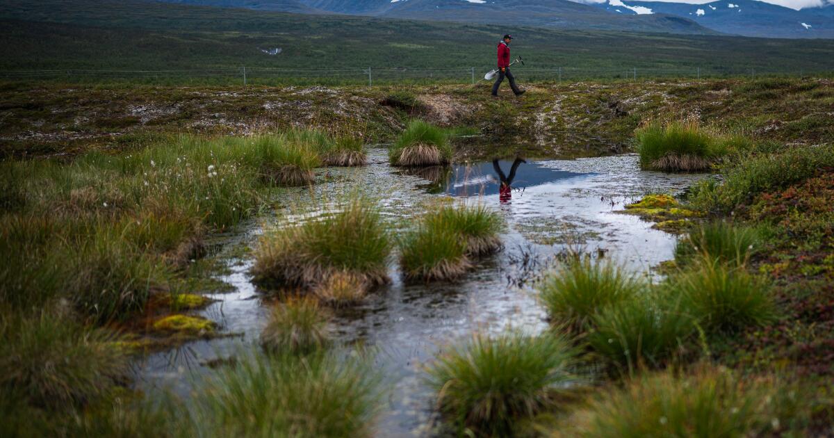 As the planet warms, the Arctic Ocean is absorbing less CO2 As the planet warms, the Arctic Ocean is absorbing less CO2