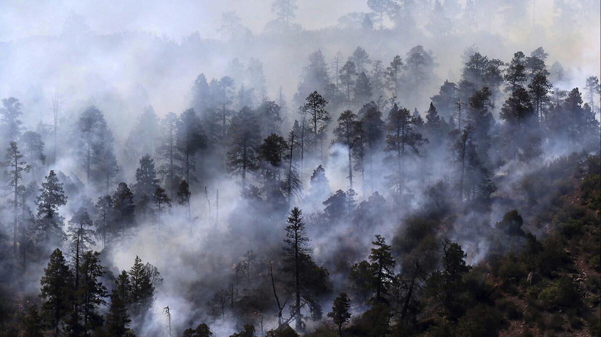 Smoke from a wildfire in Hermosa, Colo.