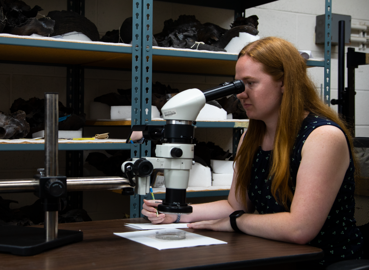 Lisa Martinez looks through a microscope