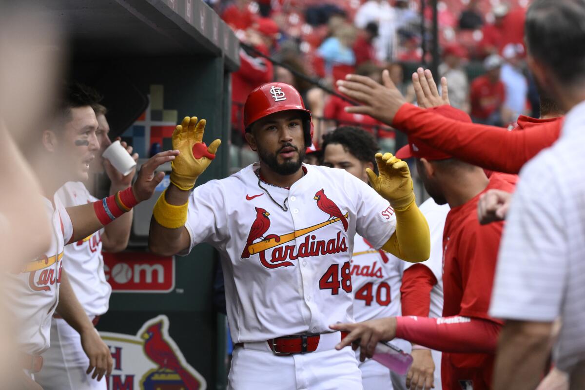 The Cardinals’ Iván Herrera is congratulated in the dugout by teammates after hitting his second of three home runs