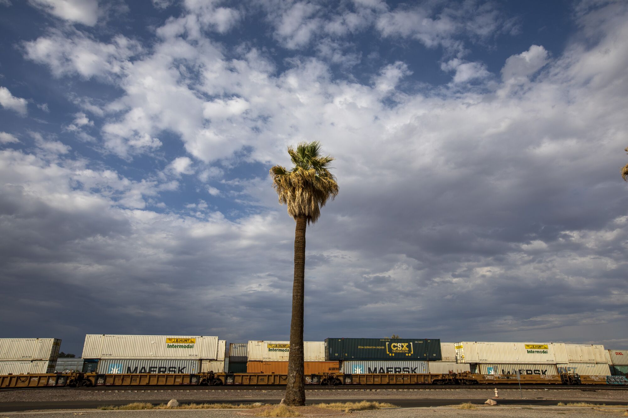 A palm tree stands along tracks in a railroad yard in the Mojave desert town of Needles.