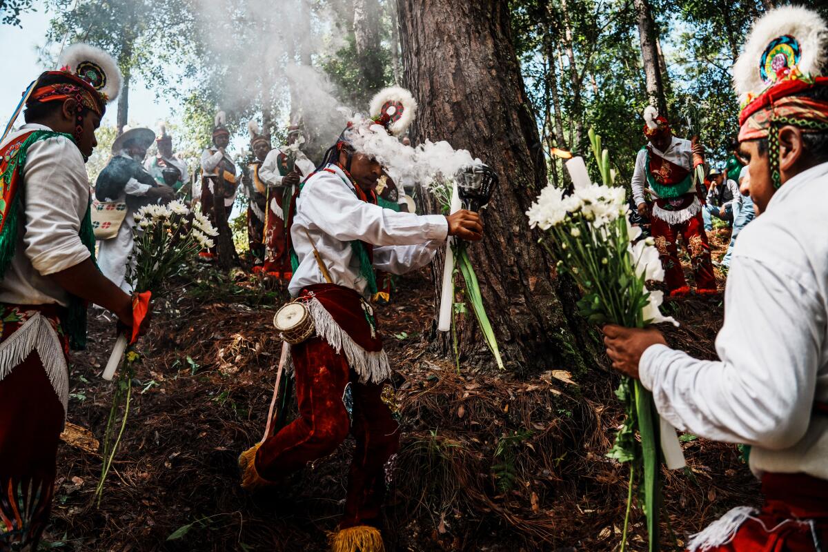 A volador dances around a tree with incense before placing flowers at the 