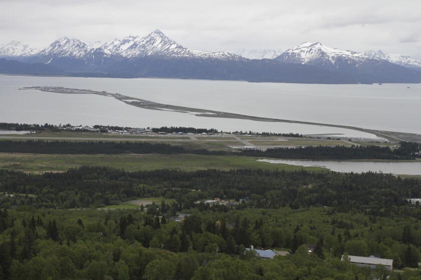Esta fotografía del 9 de junio de 2021 muestra la localidad de Homer, Alaska, junto a la Bahía de Kachemak. Un hombre de 70 años de Homer que intentaba sacar fotos de terneros de alce recién nacidos fue atacado por la madre de éstos, el domingo 19 de mayo de 2024, en Homer. (AP Foto/Mark Thiessen)