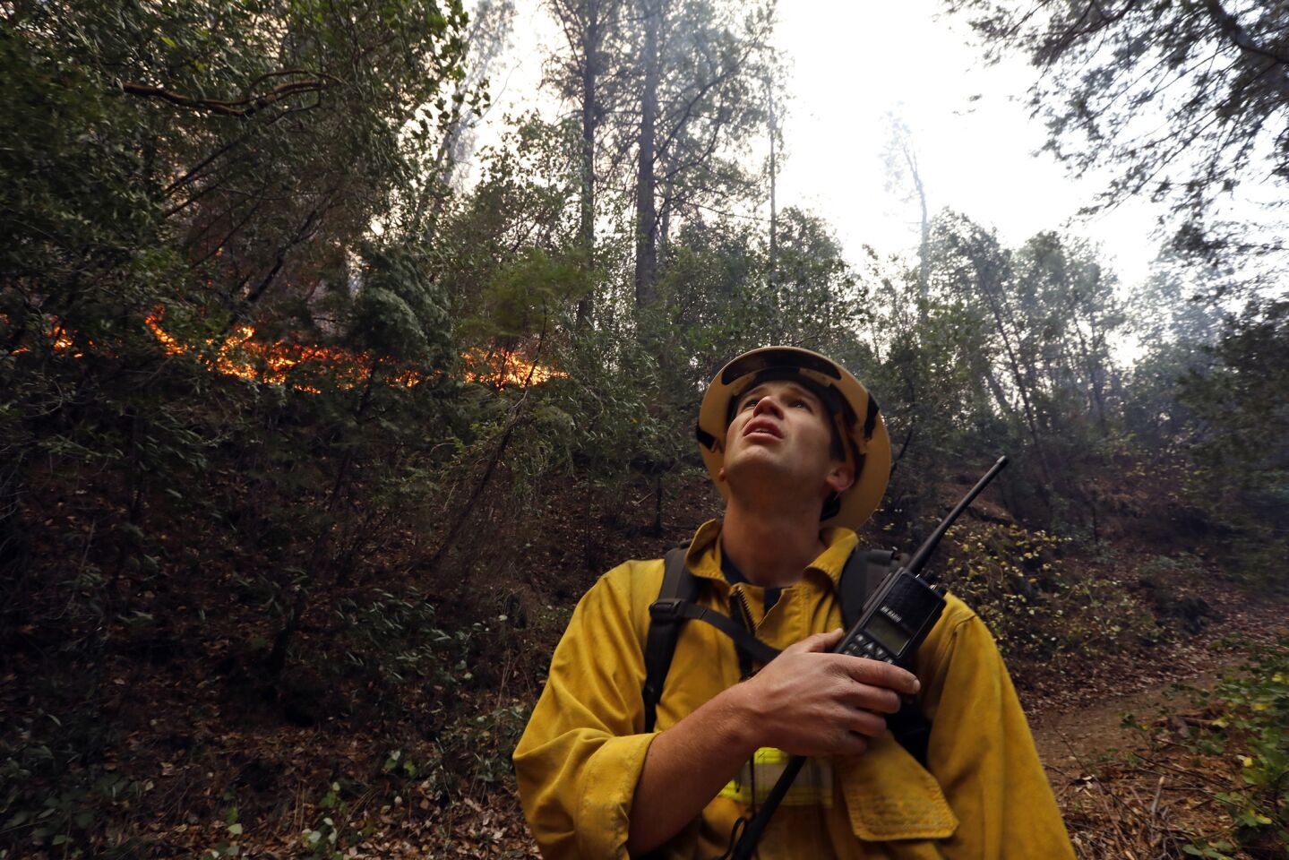 Firefighter Brian Carter of Weed, Calif., keeps an eye on the flames along the North Fork of the Feather River.