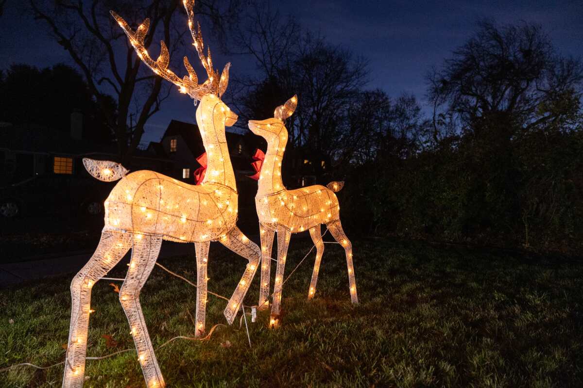 Deer figures with Christmas lights. 