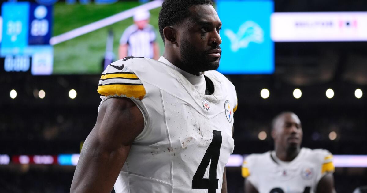 Steelers’ DK Metcalf grabs at fan who called him by his given name Steelers’ DK Metcalf grabs at fan who called him by his given name