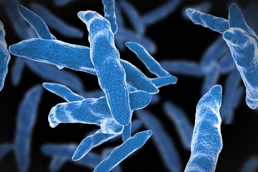 Tuberculosis is caused by bacteria that spread from person to person through microscopic droplets released into the air. (Photo courtesy Fotolia/TNS) ORG XMIT: 1180471