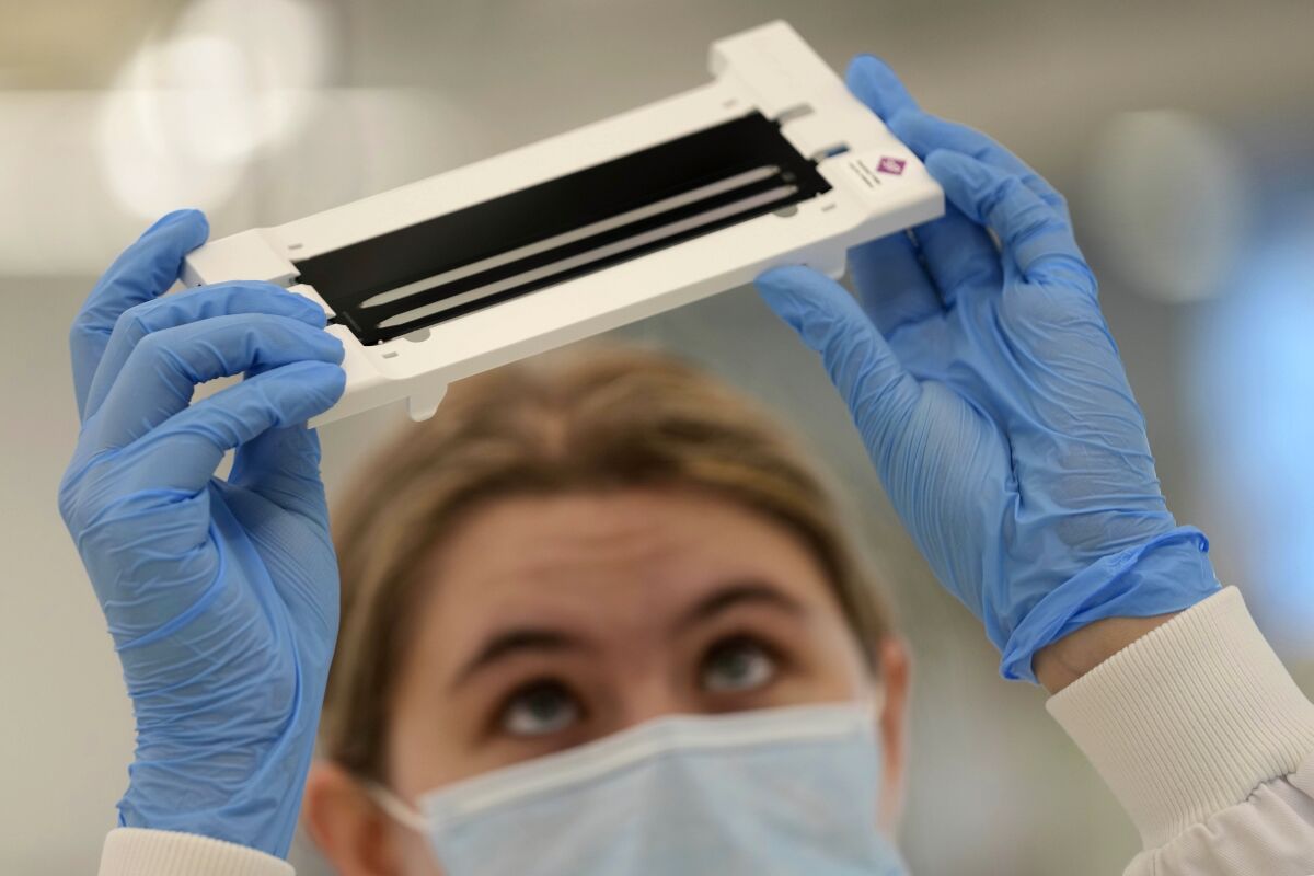 Research assistant Emily checks a flow cell before putting it into the sequencer at the Wellcome Sanger Institute, Genome Campus, Hinxton, Cambridgeshire, England, Friday, on Jan. 7, 2022. By sequencing as many positive cases as possible, researchers hope to identify variants of concern as quickly as possible, then track their spread to provide early warnings for health officials. (AP Photo/Frank Augstein)