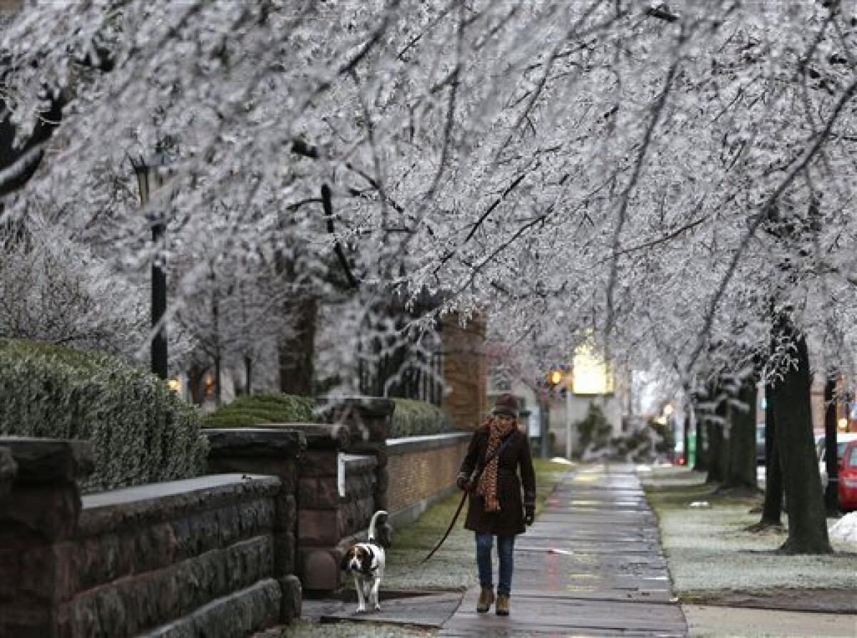 Heather Griffin and her dog Sal walk beneath ice-covered trees in Buffalo, N.Y.