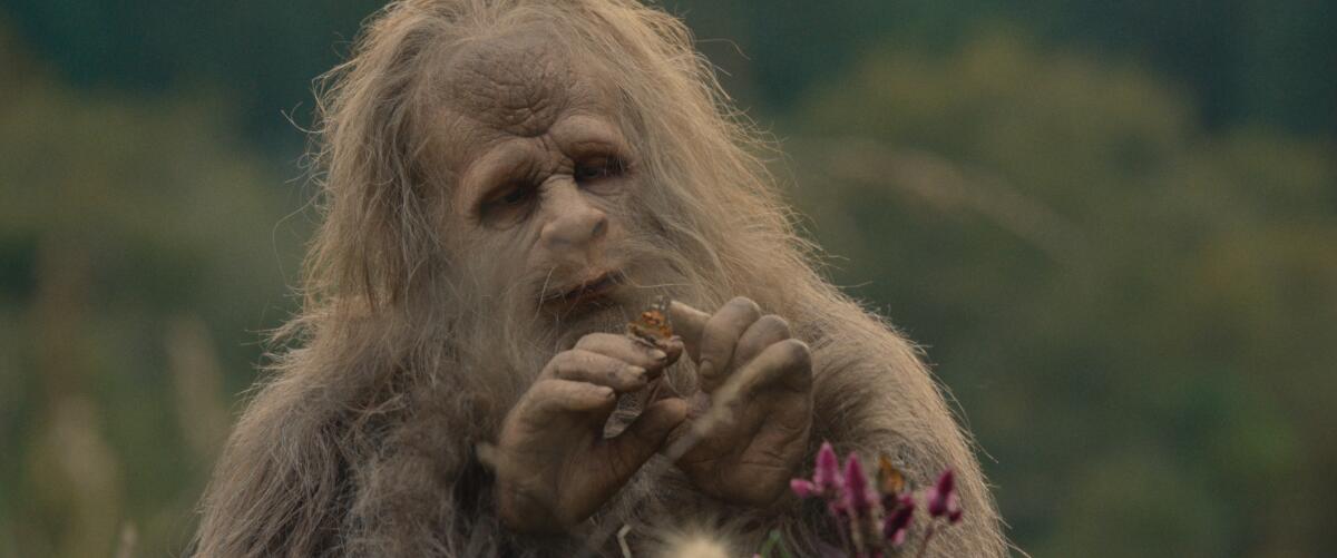 A sasquatch plays with a butterfly.
