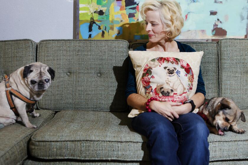 Comedian Maria Bamford is shown in her Los Angeles-area home holding a pillow with an image of her two dogs, Bert, left, and Blueberry in 2012. Bamford has a new series scheduled to debut on Netflix on May 20.