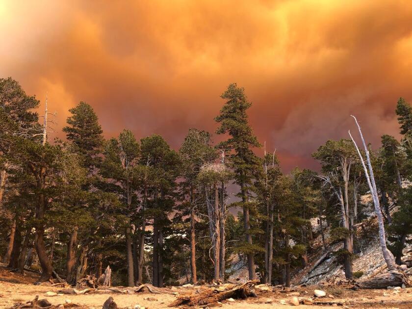 Smoke from the Apple fire on Saturday, as seen from a trail on Mt. San Gorgonio.