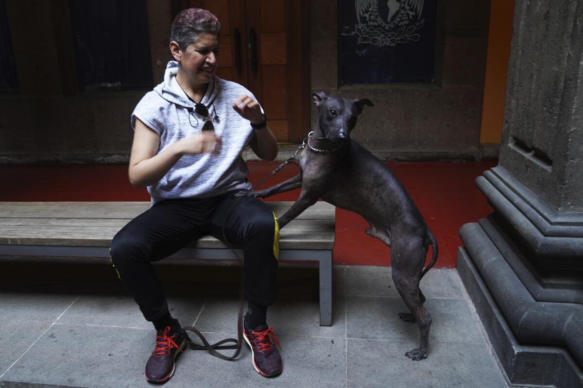 Nemiliz Gutiérrez sits next to her Xoloitzcuintle dog Mezcal