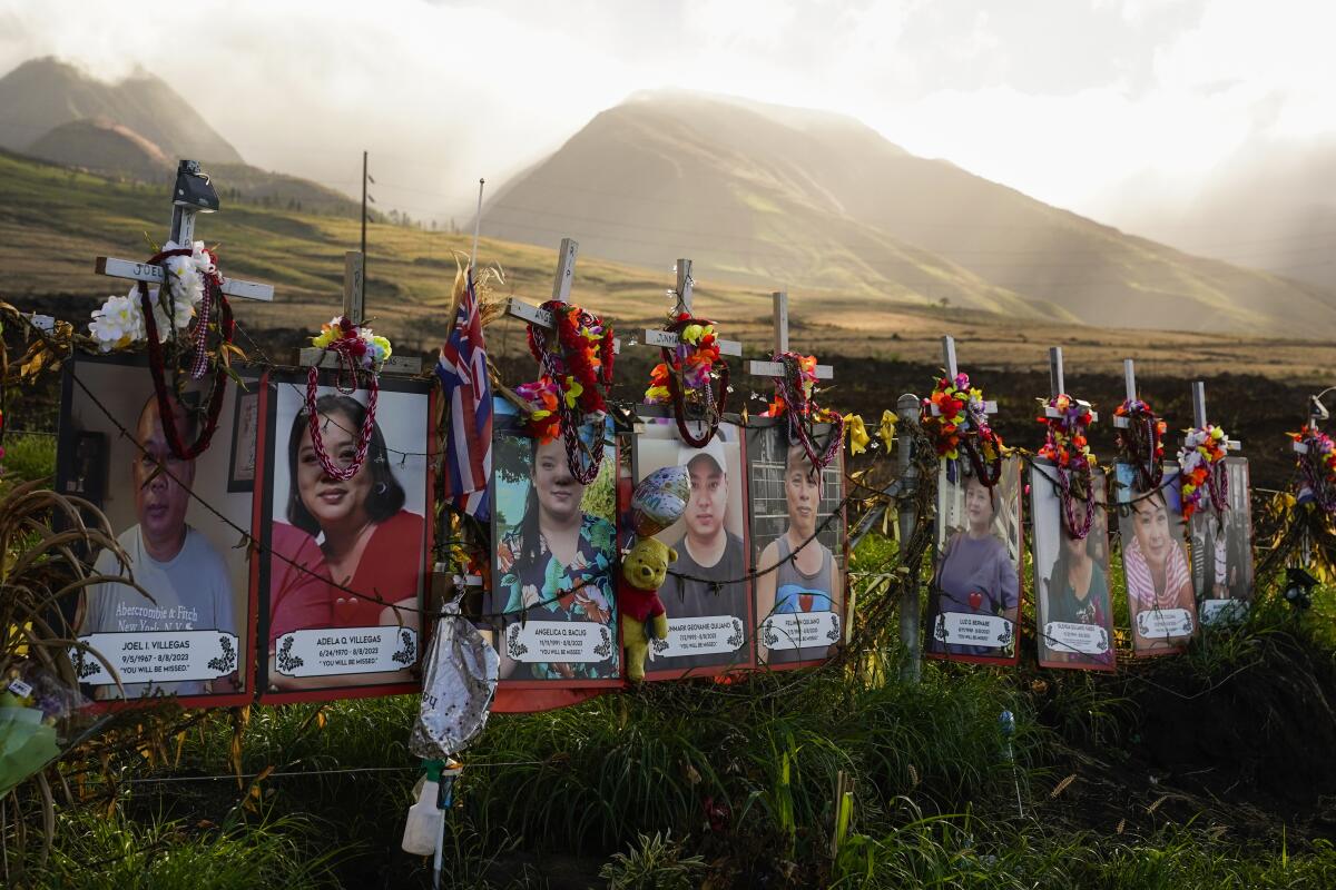 Photos of victims are displayed under white crosses with green mountains in the background.
