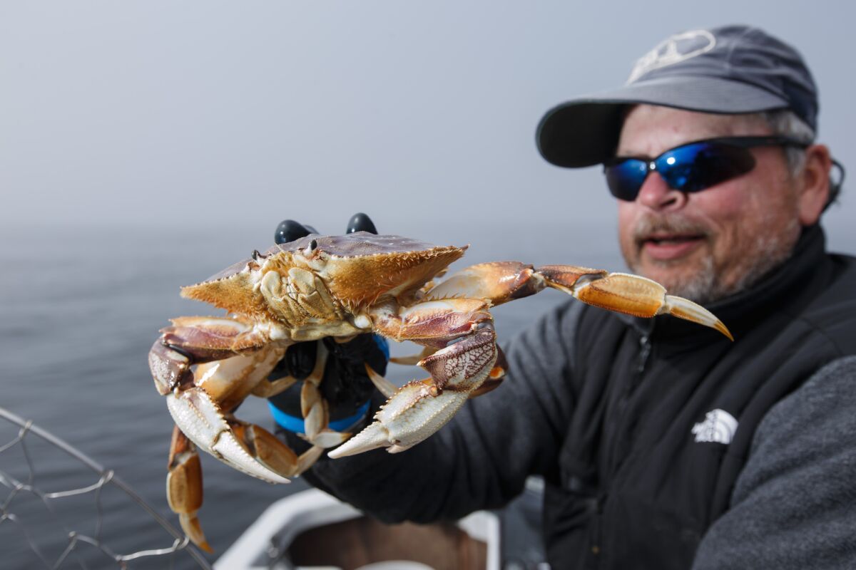 Joe Hay pulls out a crab pot as he runs a dory boat that takes customers out fishing and crabbing in Pacific City, Ore.