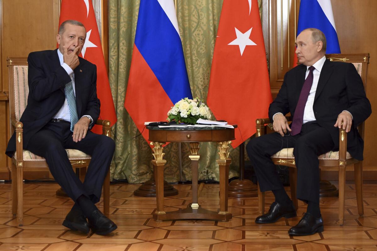 Recep Tayyip Erdogan and Vladimir Putin sit in front of Russian and Turkish flags.