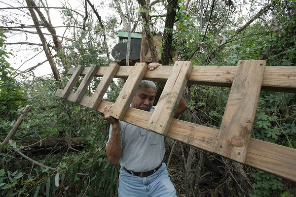 Juan Garcia, with the Los Angeles parks department, carries away a ladder that was attached to the treehouse.