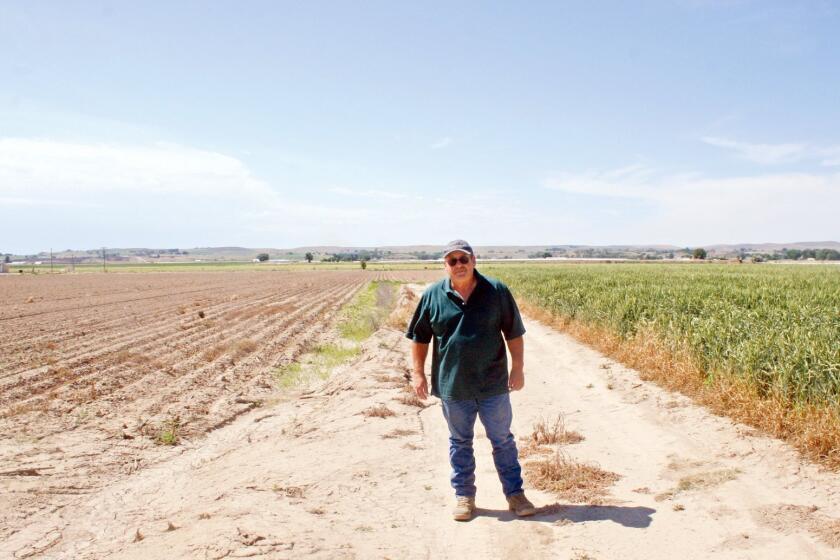 Dana Tuckness stands between two of his fields, one planted and one not, in Ontario, Ore., in June. The field at left had not been planted because of the water shortage.