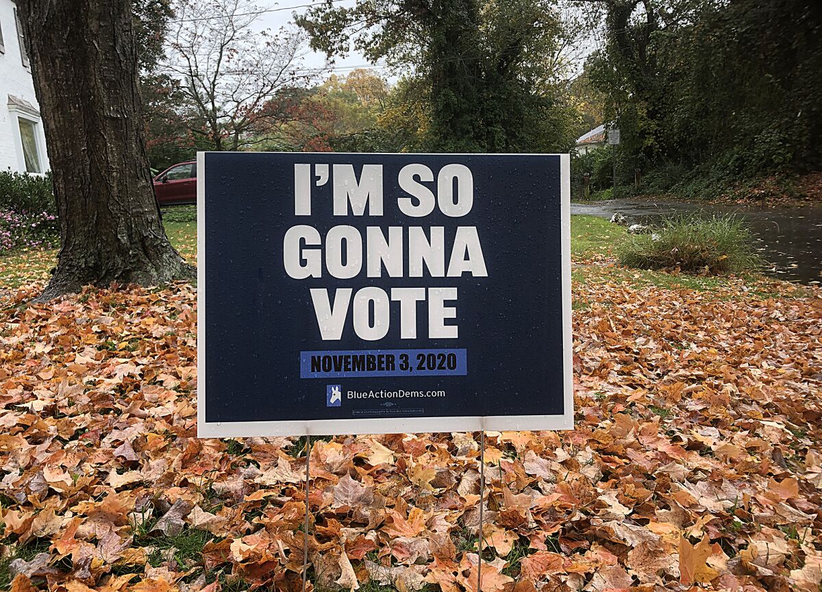 A yard sign that reads, “I’m so gonna vote,” expresses voter enthusiasm without mentioning a candidate.