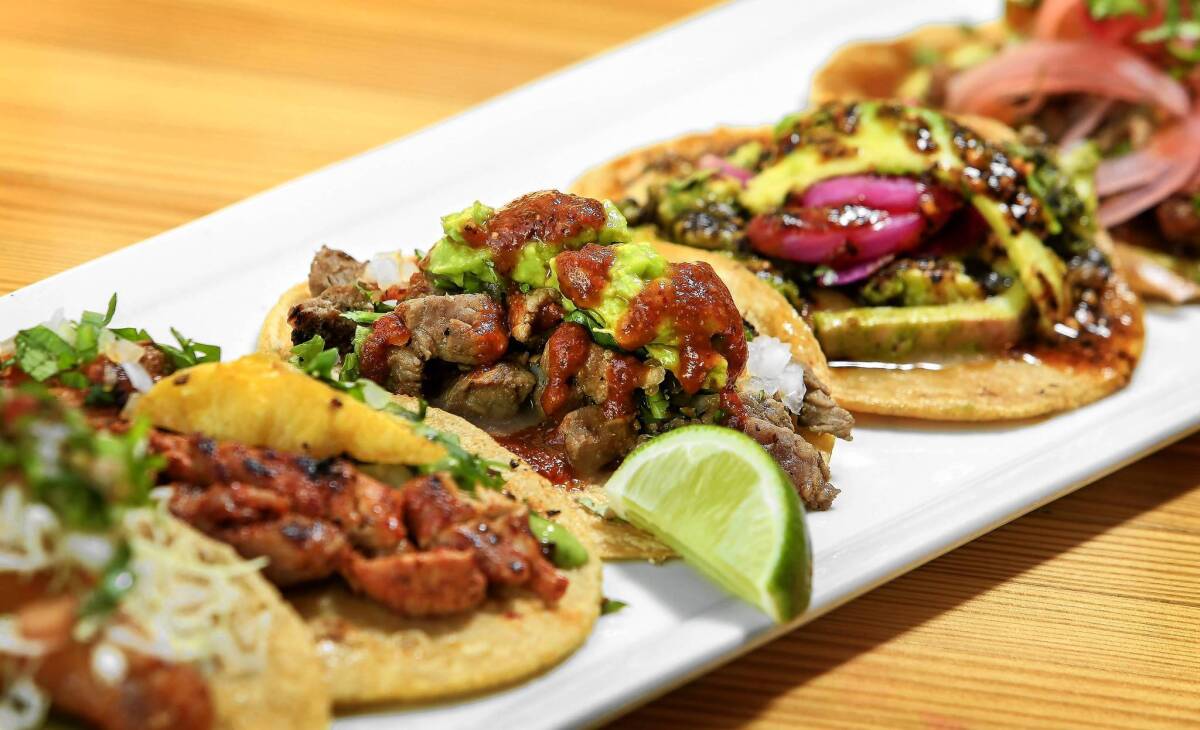 Petty Cash Taqueria offers the basics, such as al pastor or a taco with roasted crickets.