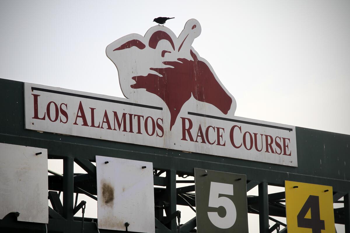 The starting gate at the Los Alamitos Race Course is shown.