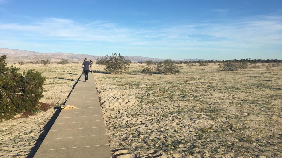 A wooden footpath leads to Phillip K. Smith III's "The Circle of Land Sky."