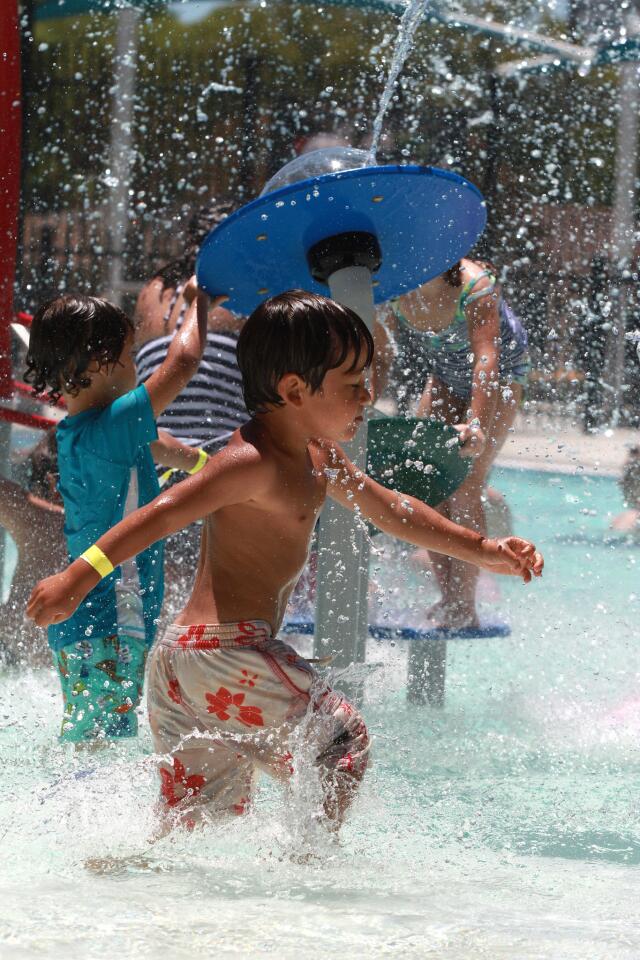 Photo Gallery: Hot day at Verdugo Aquatic Center in Burbank