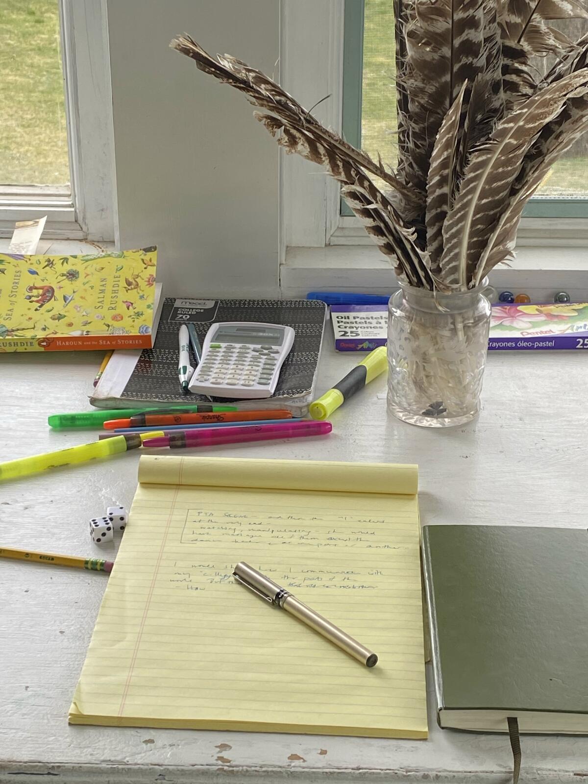 Anna Solomon's shared workspace, with turkey feathers.