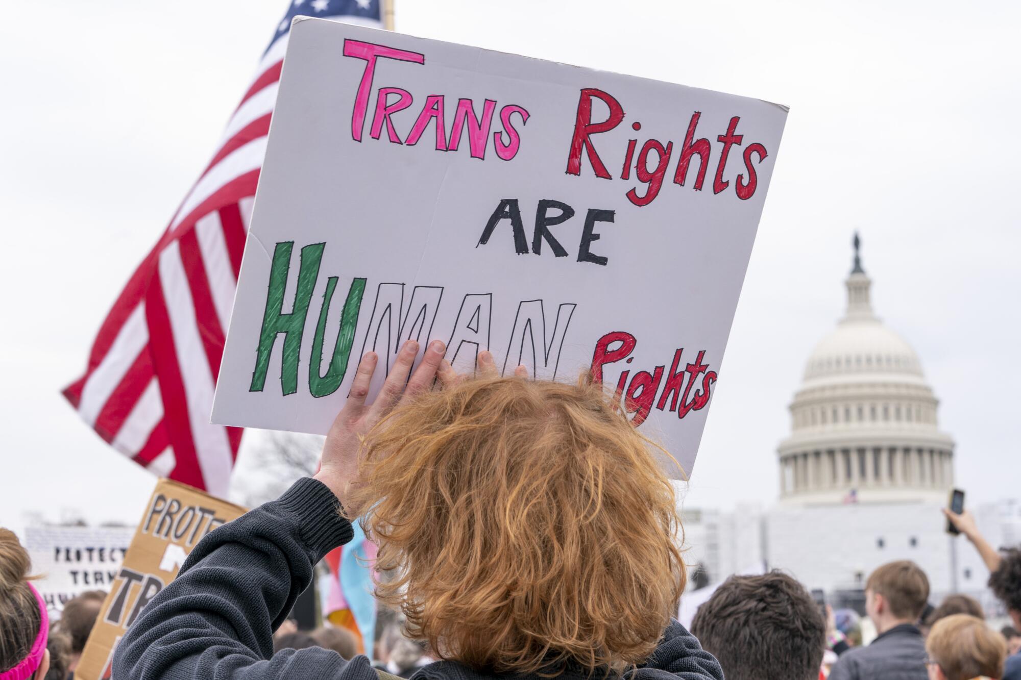A person at a rally holds a sign that says, "Trans rights are human rights."