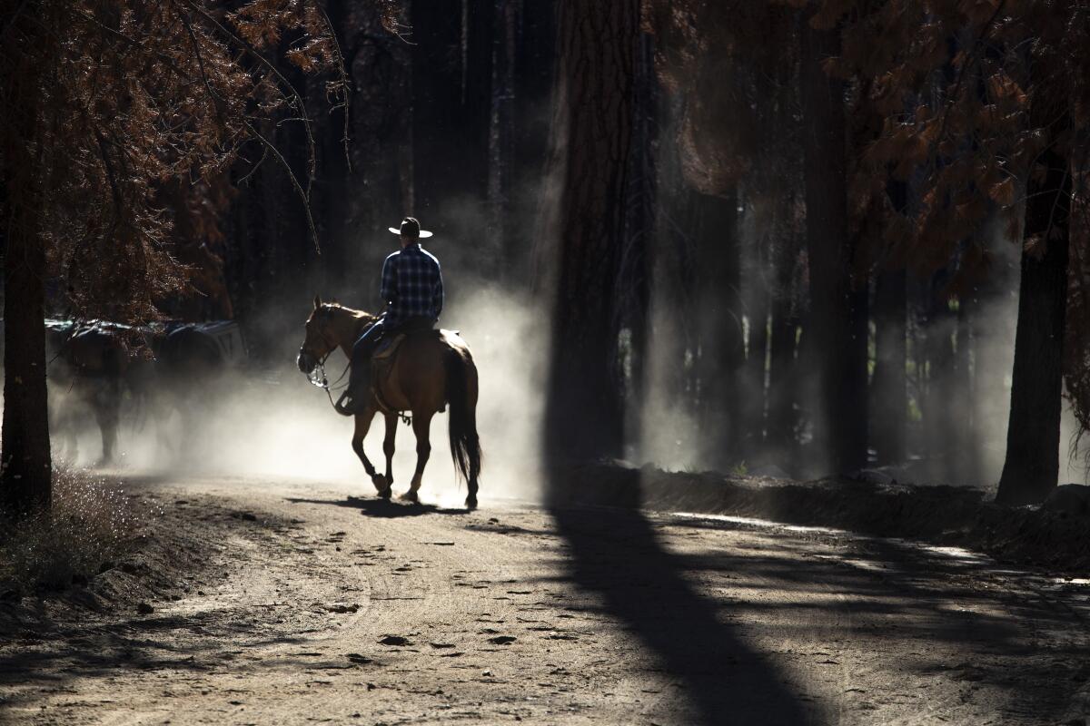 Times reporter Doug Smith rides into the backcountry in the Sequoia National Forest on July 6. 