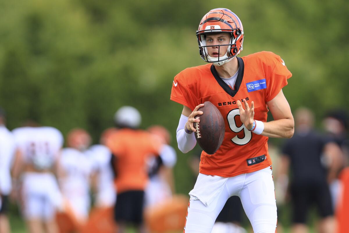 Joe Burrow Sets New Records as Cincinnati Bengals Head to the Post-Season  Again, Sports & Recreation, Cincinnati