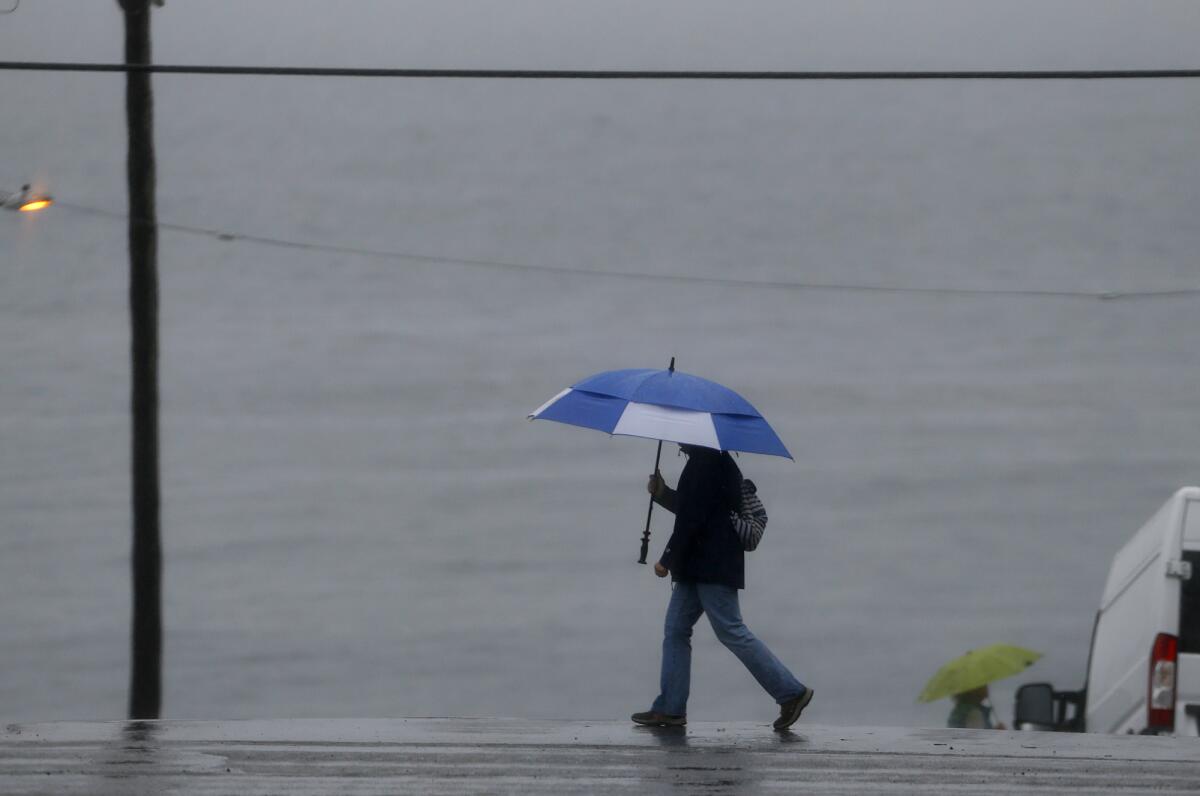 Rain pours down at Brooks Street and Coast Highway, where a woman is safe under a big umbrella.