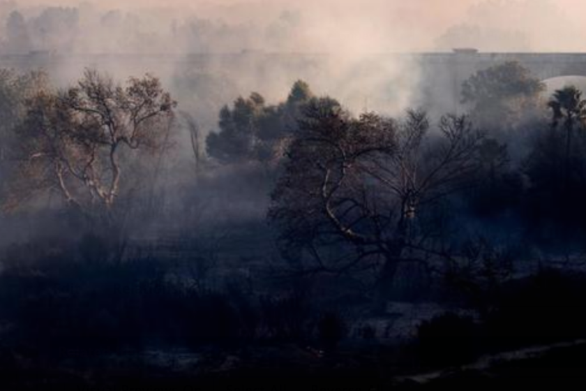 The trees and the ground of a valley is still smoking from the 46 Fire near Riverside, East of Los Angeles, California, USA, 31 October 2019. EFE/EPA/Etienne Laurent