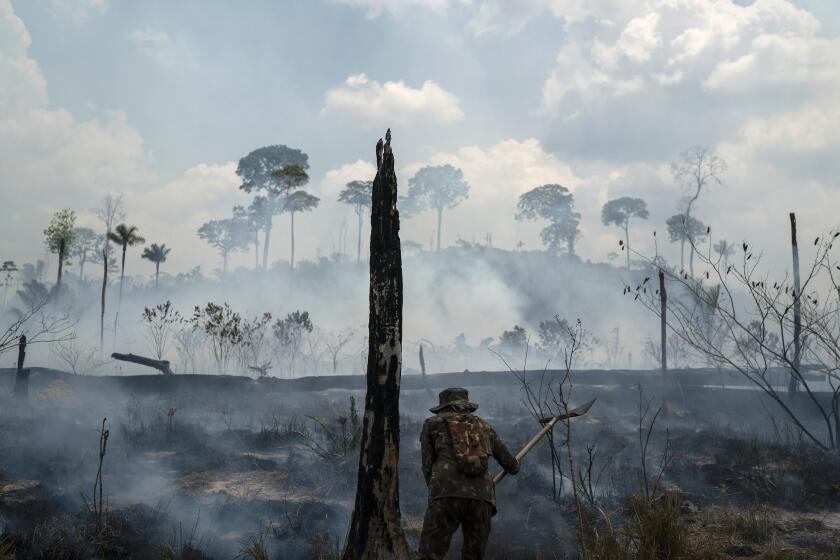 FILE - In this Sept. 3, 2019, file photo, Brazilian soldier puts out fires at the Nova Fronteira region in Novo Progresso, Brazil. In 2019, the forest around the town of Novo Progresso erupted into flames — the first major blazes in the Brazilian Amazon’s dry season and spurred global outrage against the government’s inability or unwillingness to protect the rainforest. President Jair Bolsonaro pledged to control burning in the forest in 2020, but smoke is again thick in the area. (AP Photo/Leo Correa, File)
