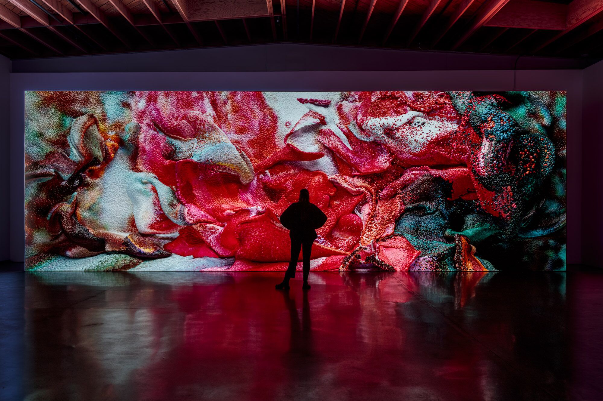 "Living Paintings" Exhibition at Jeffrey Deitch Gallery, Los Angeles. Artist: Refik Anadol
