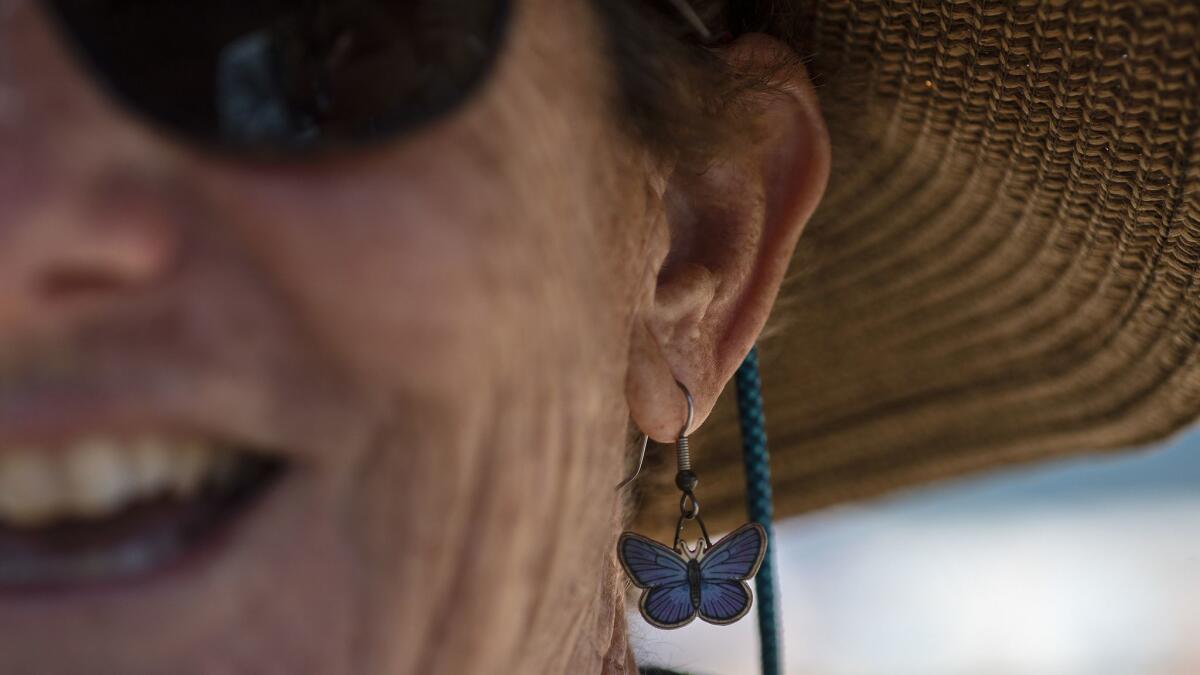 Biologist Ann Dalkey wears earrings of the endangered El Segundo blue butterfly during a butterfly walk along the Esplanade at Miramar Park in Redondo Beach.