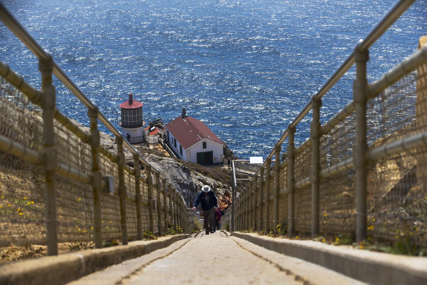 It's 308 steps down and 308 back up to the historic Point Reyes Lighthouse, which began operating in December 1870 and was decommissioned in 1975.