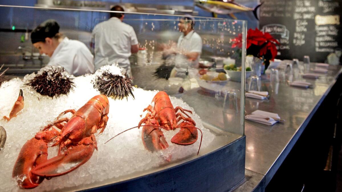 Lobsters and sea urchins on display at the Hungry Cat restaurant in Hollywood.