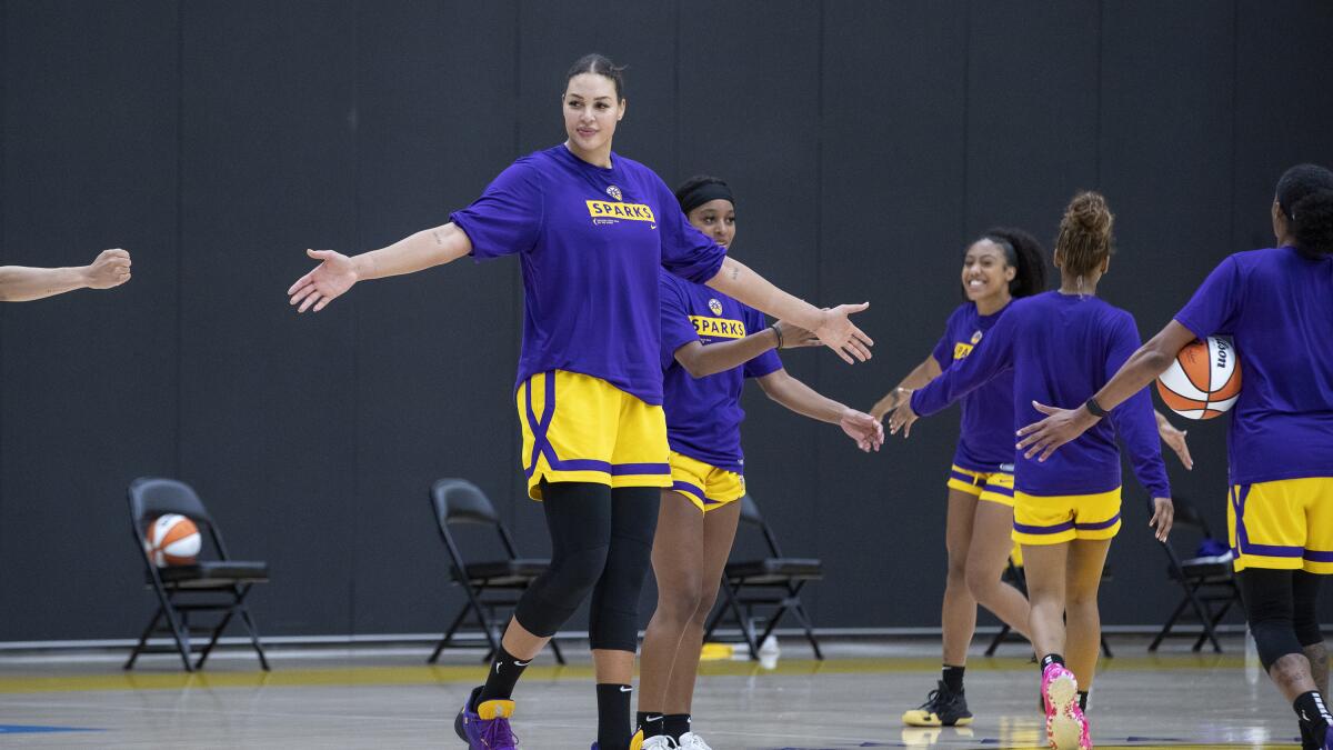 Sparks' new deeper roster boosts optimism for WNBA title run - Los Angeles  Times