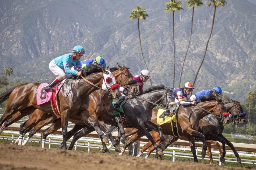 ARCADIA, CALIF. -- FRIDAY, MARCH 29, 2019: Fans cheer on their horse during Santa Anita Race 6 as Santa Anita opening day resumes racing at Santa Anita Horse Park in Arcadia, Calif., on March 29, 2019. (Allen J. Schaben / Los Angeles Times)