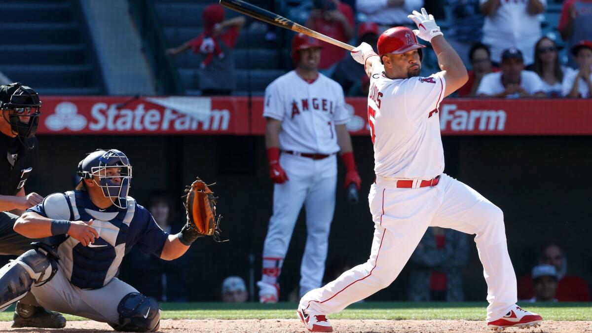 Is Albert Pujols going to set the all-time home run record?